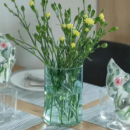 Beautiful House With A Garden For 6 People In Budzistowo By Renters * Kołobrzeg